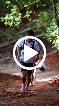 BIB:  <button type="button" onclick="openModal(27325376)" class="btn btn-primary btn-sm float-right" data-toggle="modal" data-target=".modal-high-quality">
                <i class="fa fa-download"></i> Download
                </button>